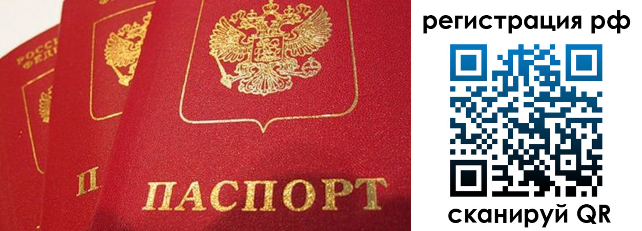 прописка поиск в Ржеве